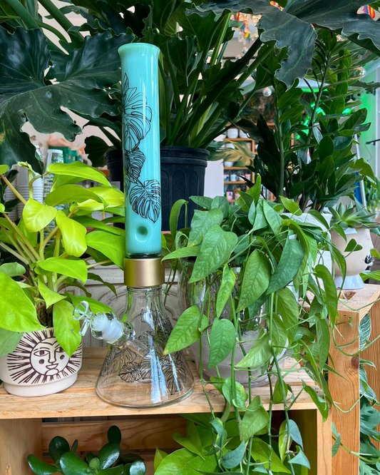 Monstera Beaker Single Stack