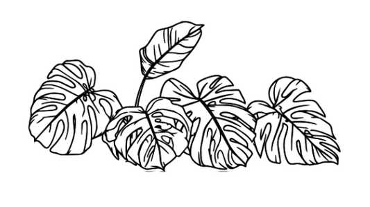 Introducing: The Monstera Houseplant Decal Design