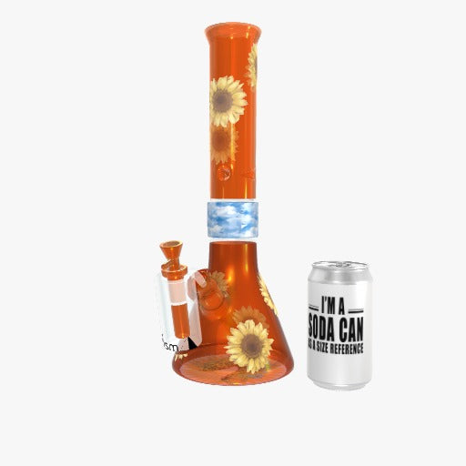 Custom Prism Bong