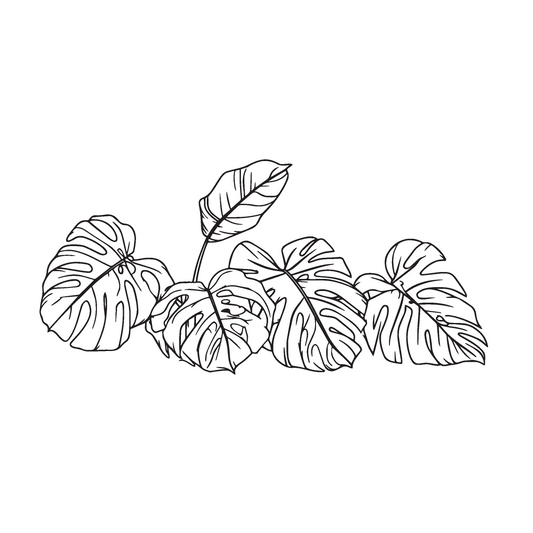 Big Perc Monstera Decal
