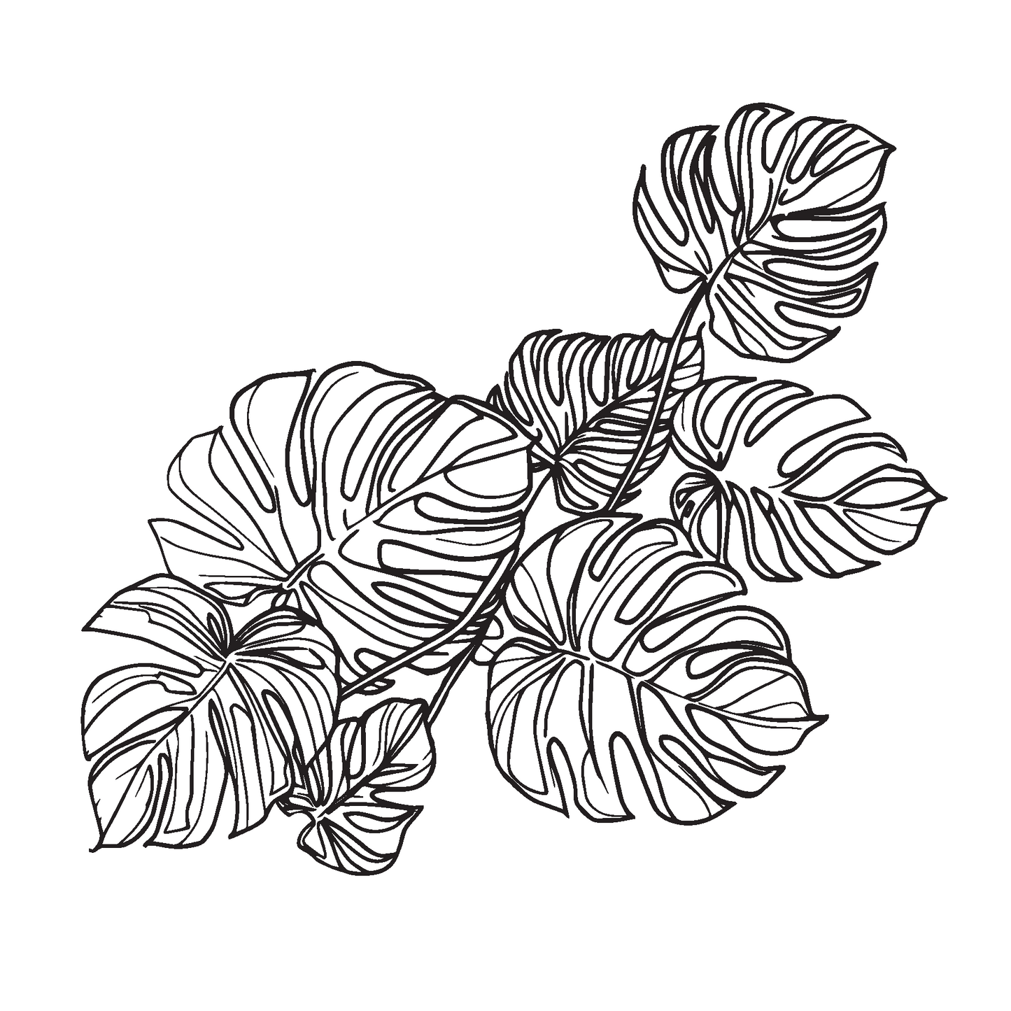 Standard Honeycomb Base Monstera Decal