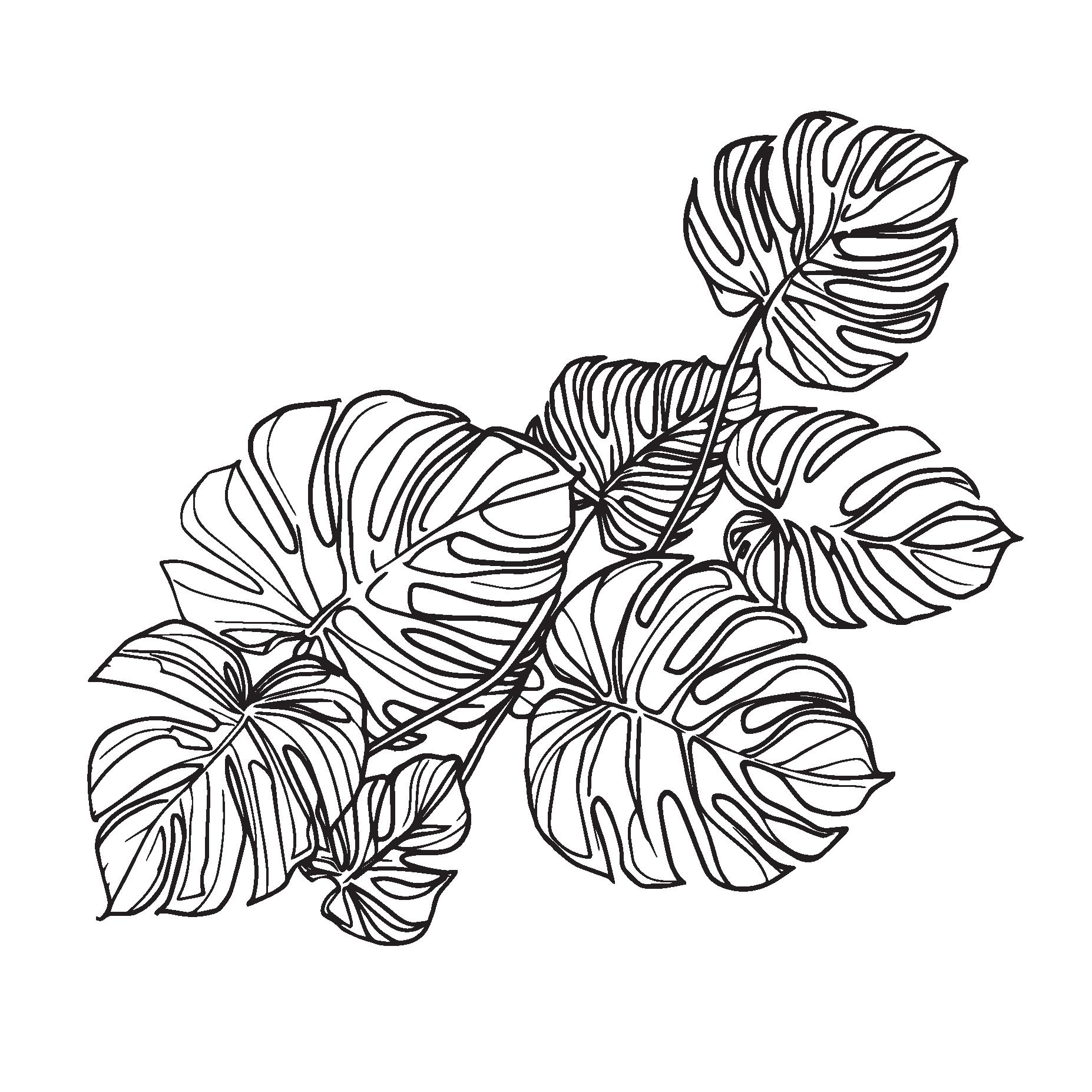 Standard Honeycomb Base Monstera Decal