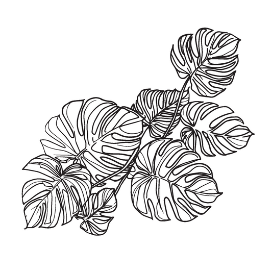 Standard Honeycomb Base Monstera Decal