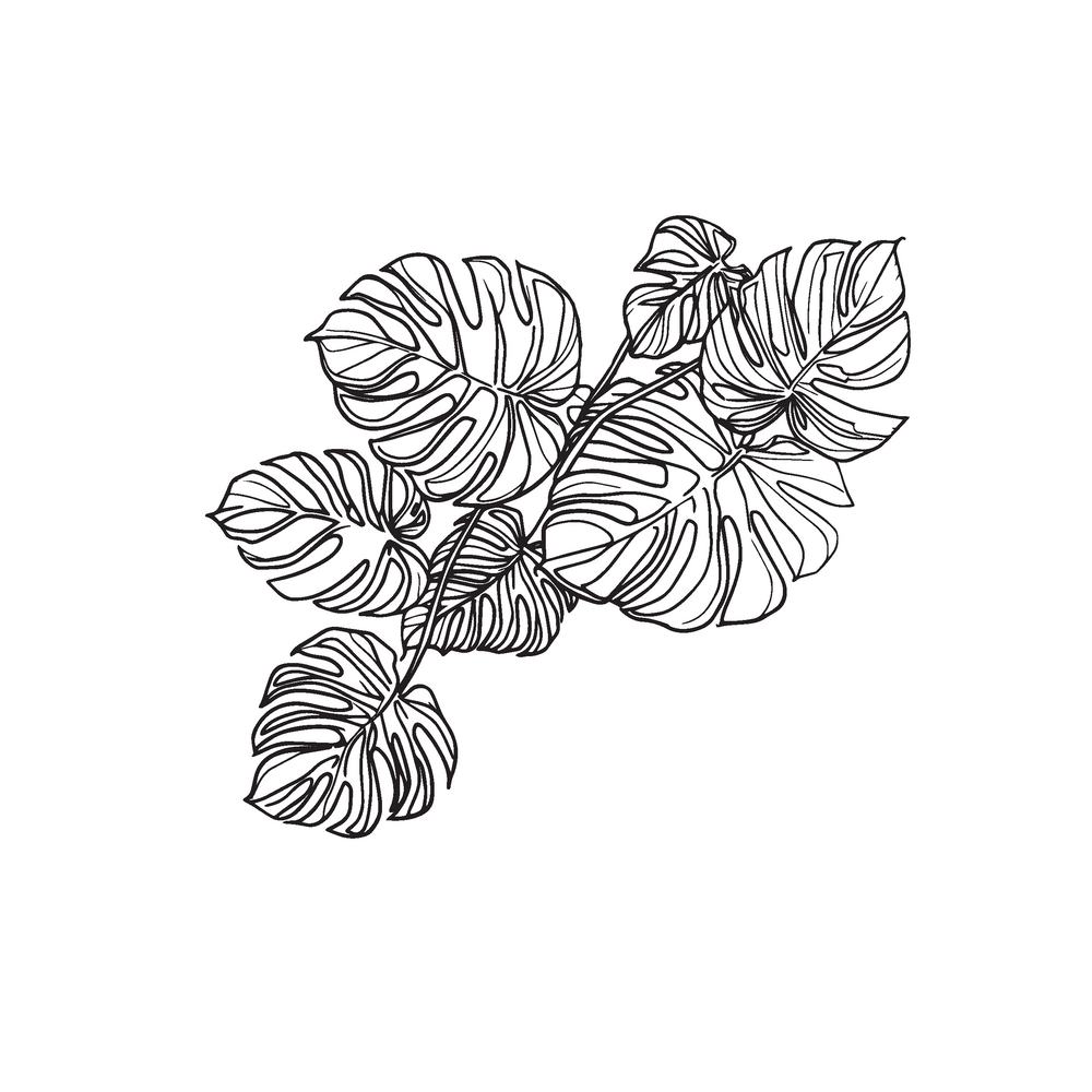 Klein Incycler Base Monstera Decal