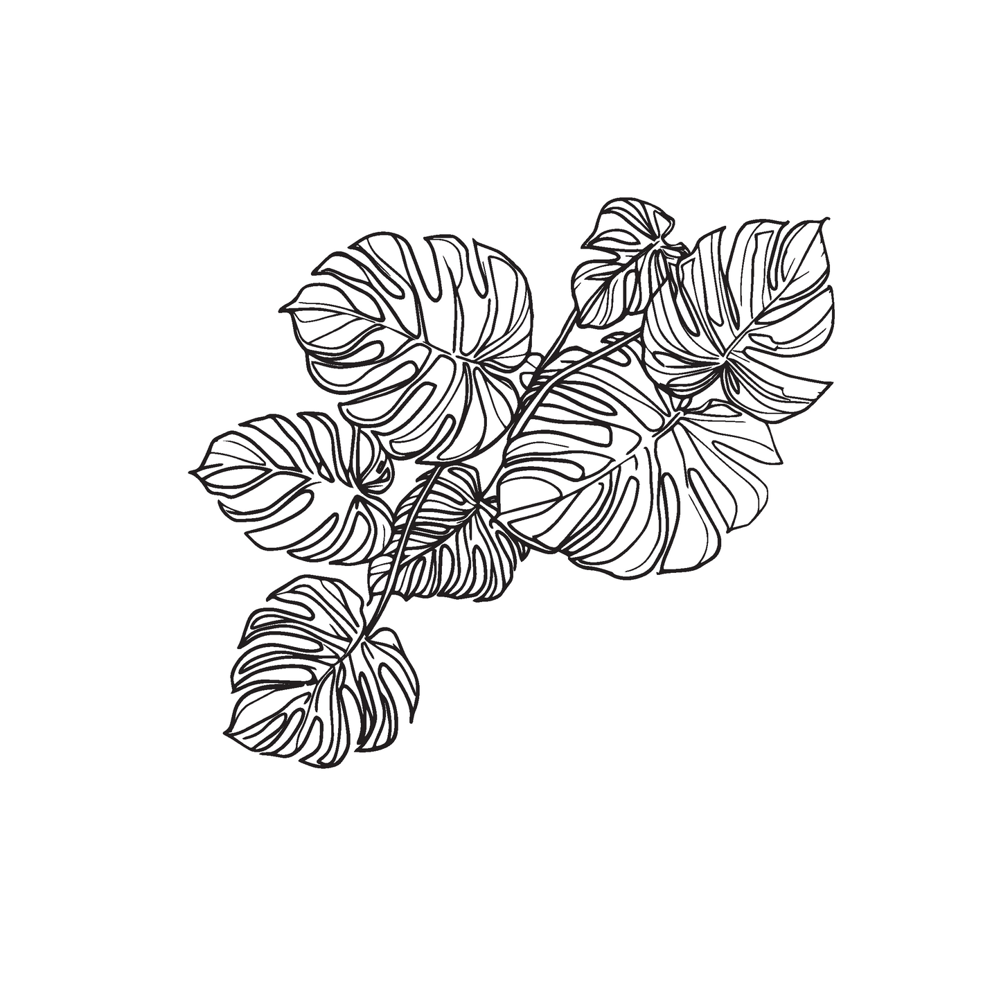 Klein Incycler Base Monstera Decal