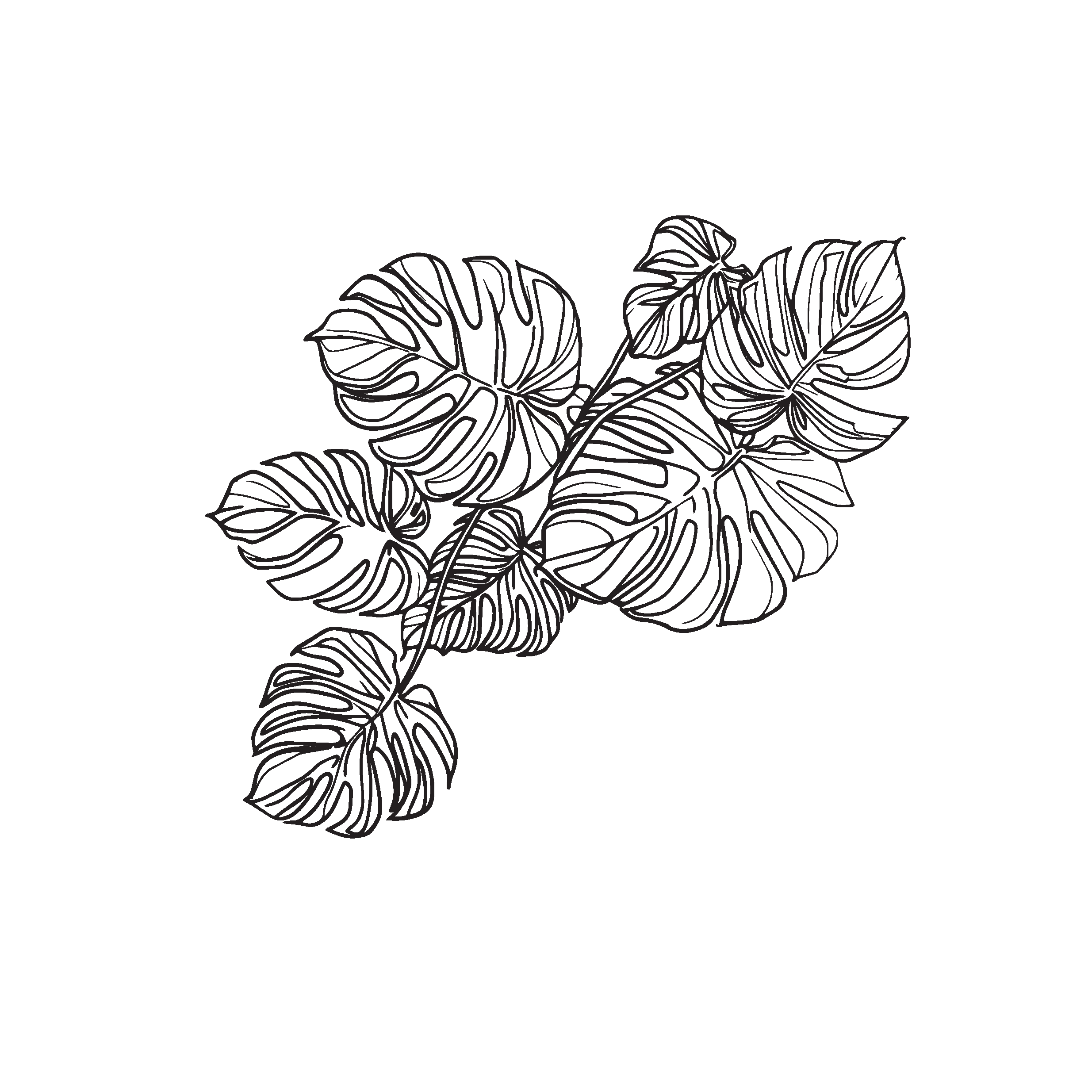 Klein Incycler Base Monstera Decal