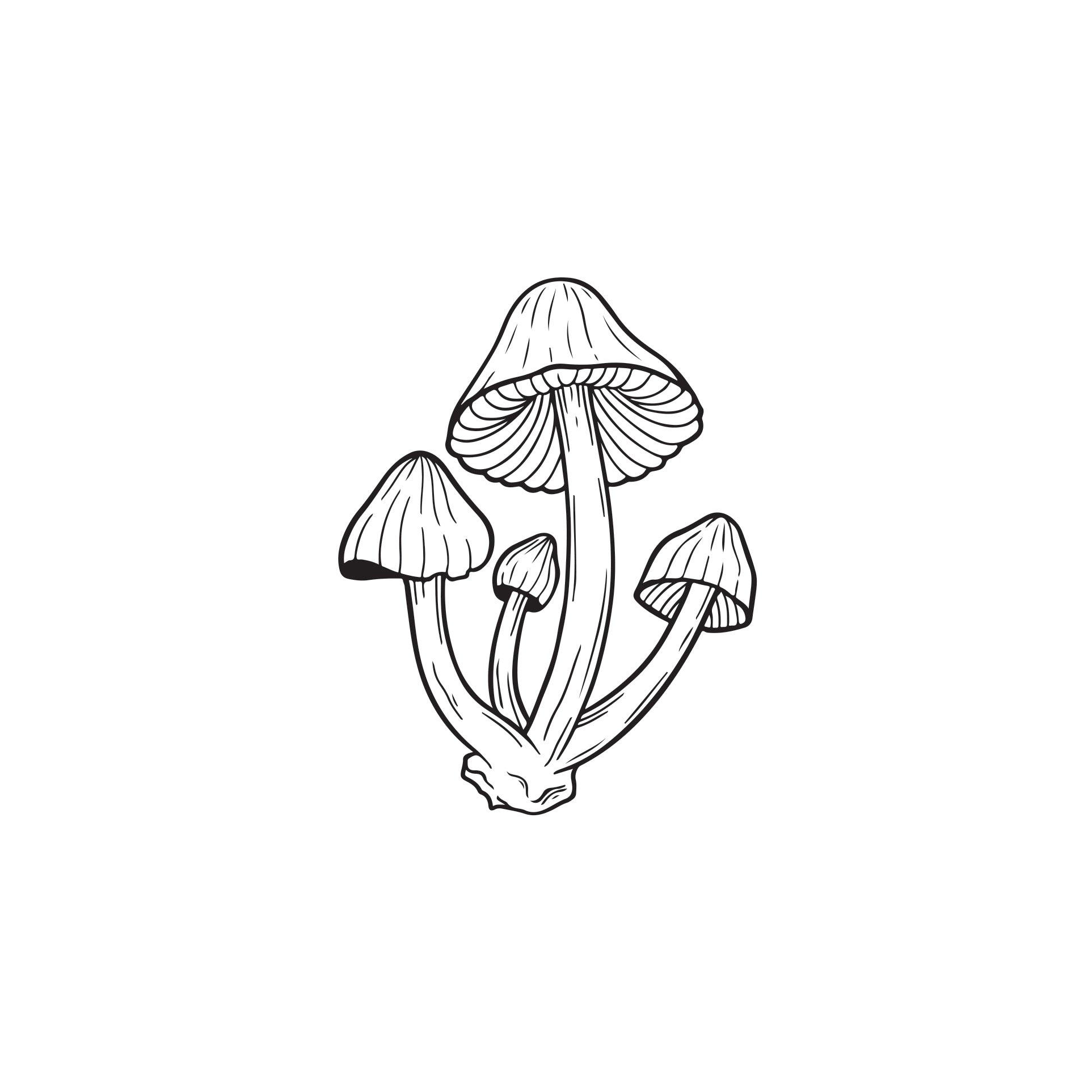 Standard Perc Mushroom Decal