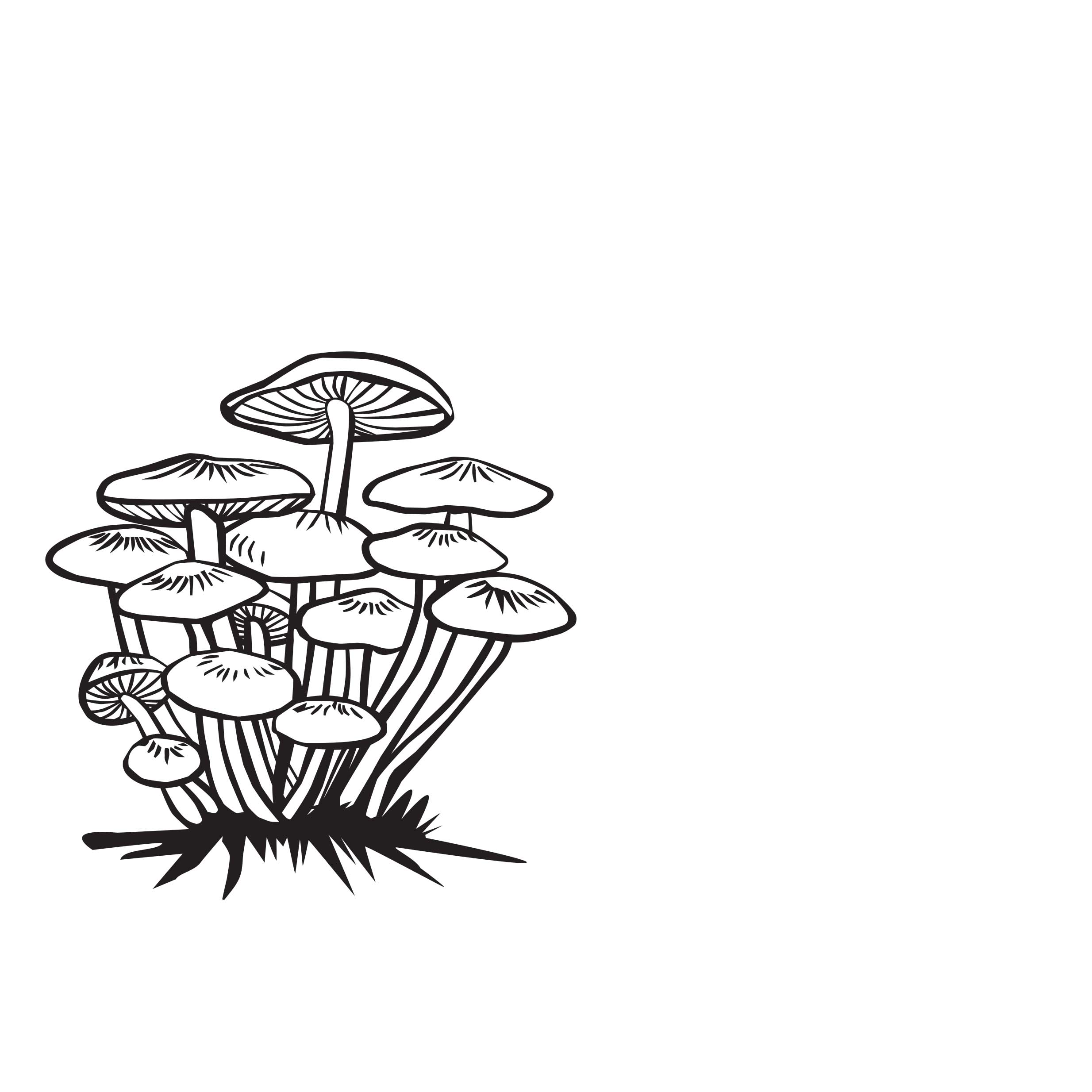 Klein Incycler Base Mushroom Decal