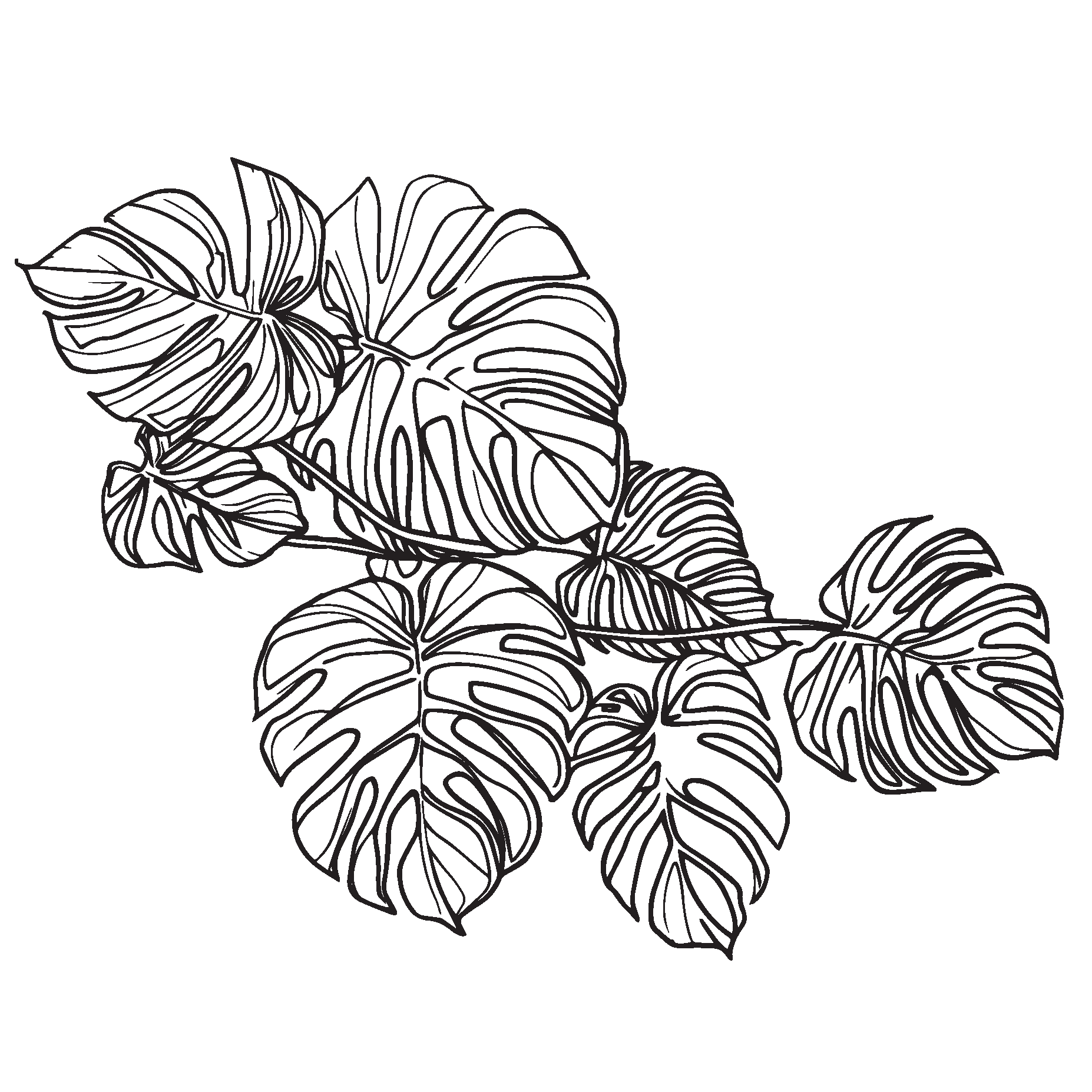 Standard Mouthpiece Monstera Decal