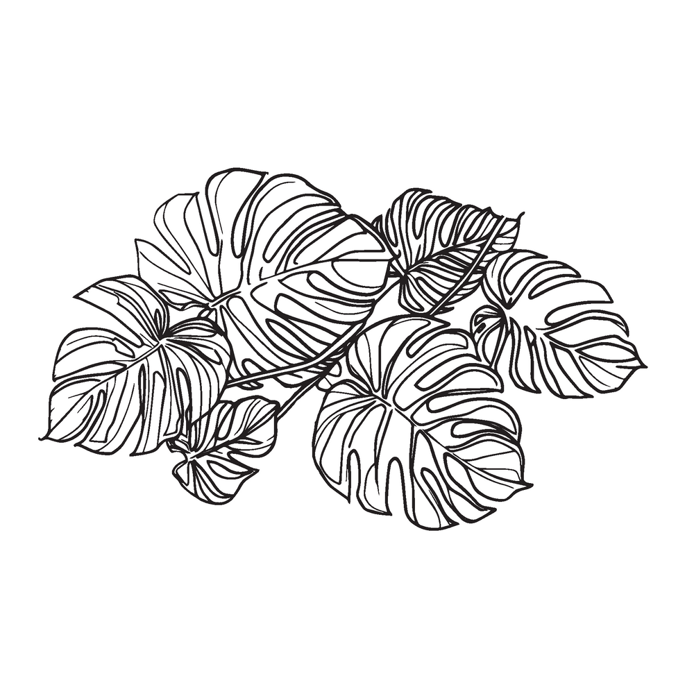 Standard Perc Monstera Decal