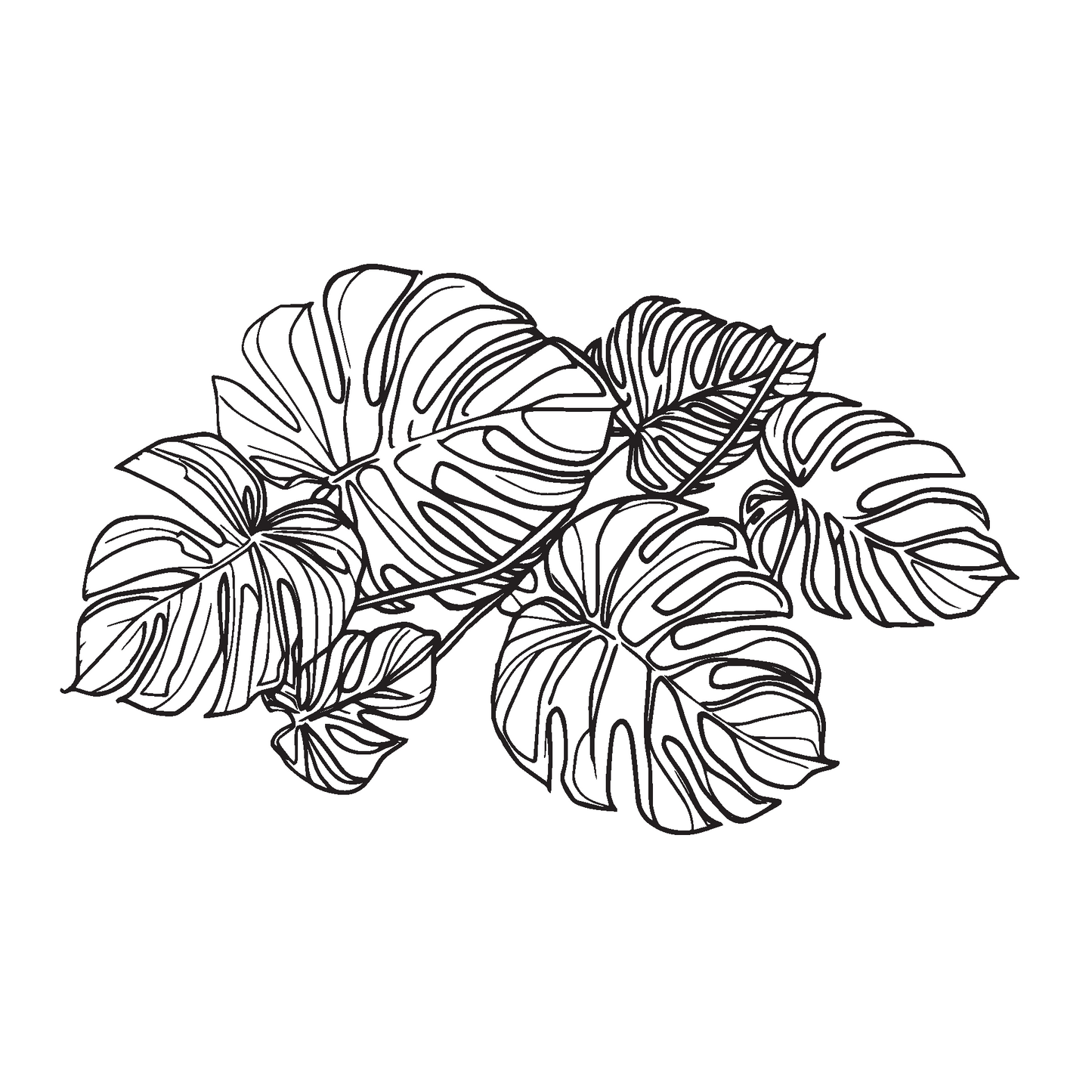 Standard Perc Monstera Decal