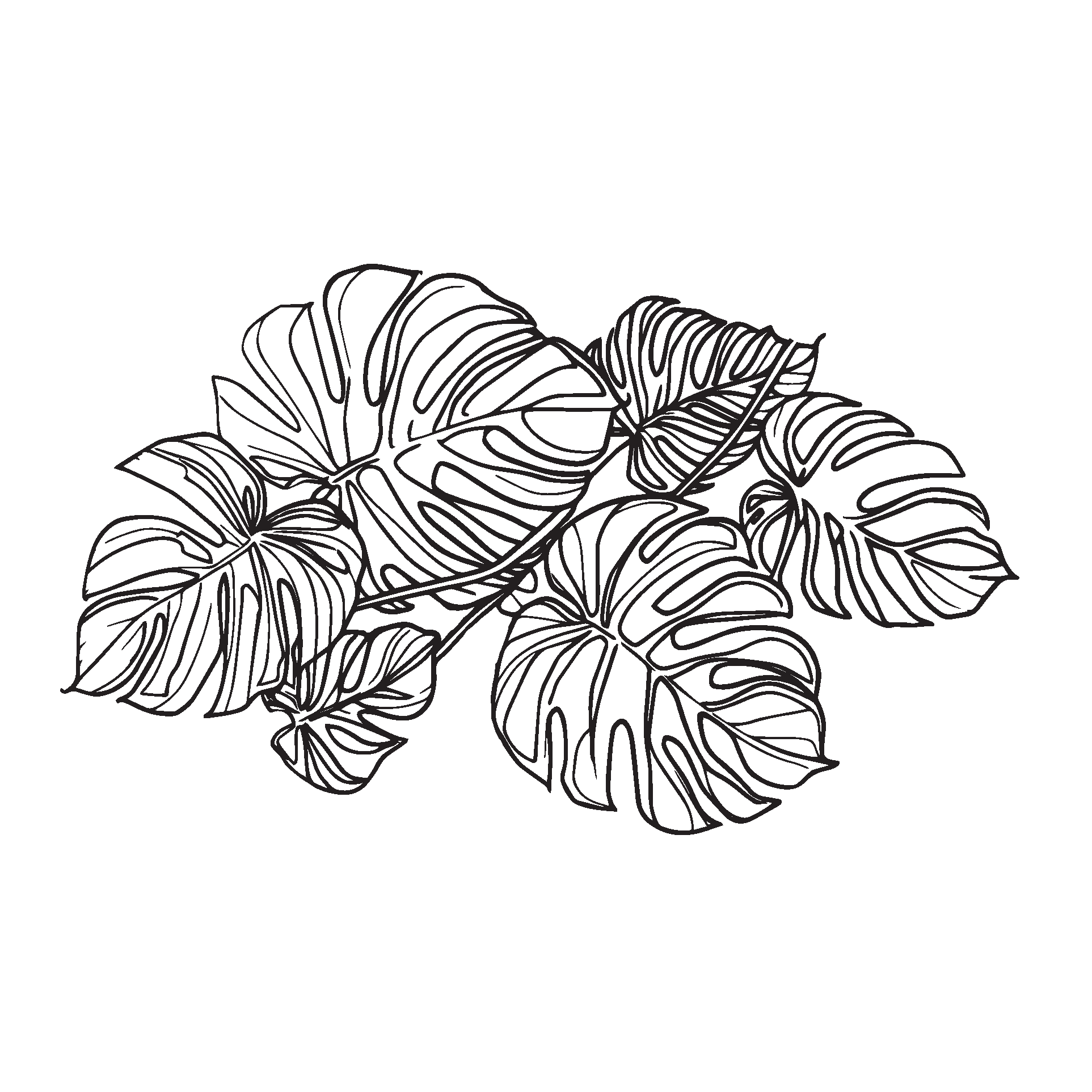 Standard Perc Monstera Decal