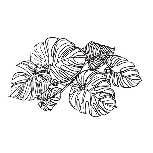 Standard Perc Monstera Decal