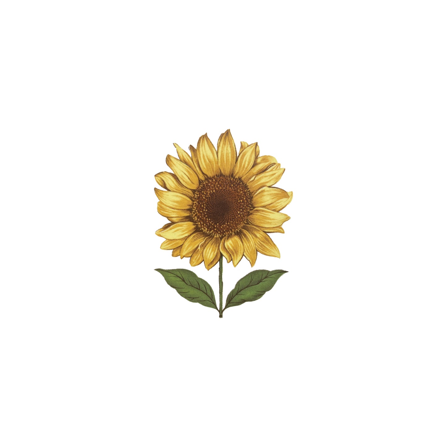Standard Perc Sunflower Decal