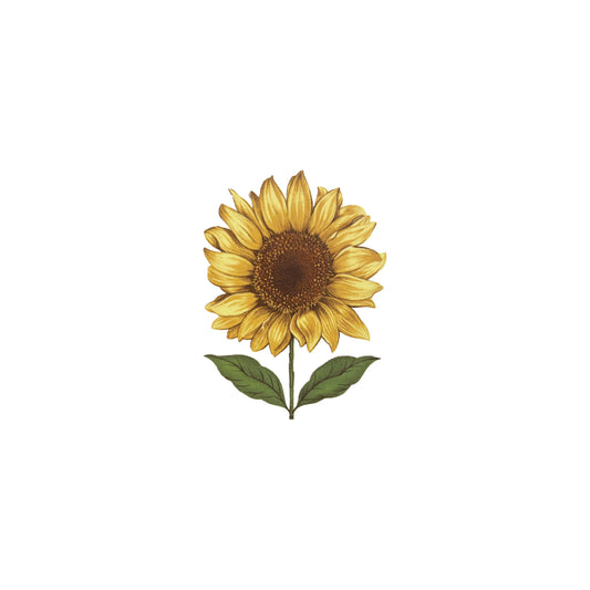 Standard Perc Sunflower Decal
