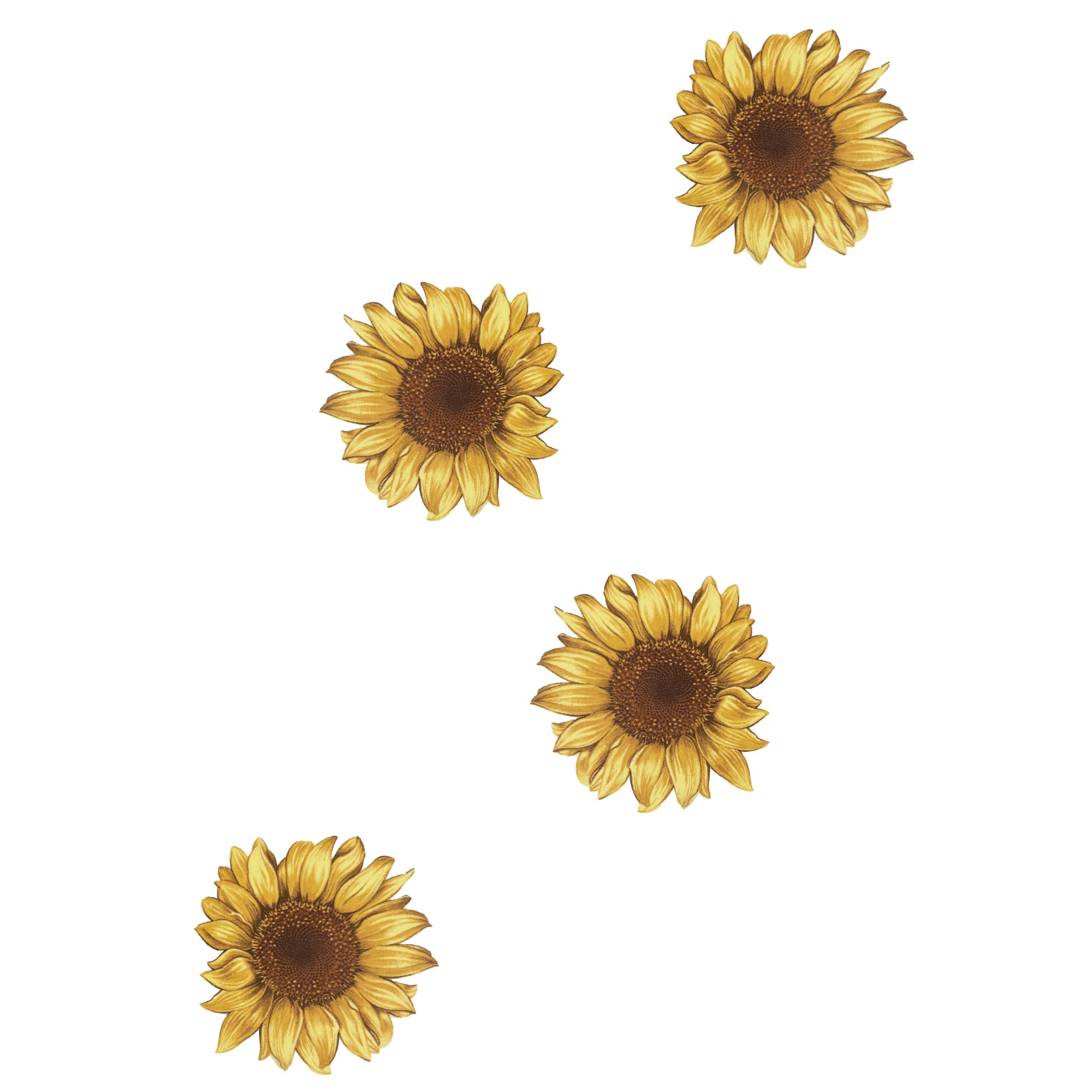 Tall Mouthpiece Sunflower Decal