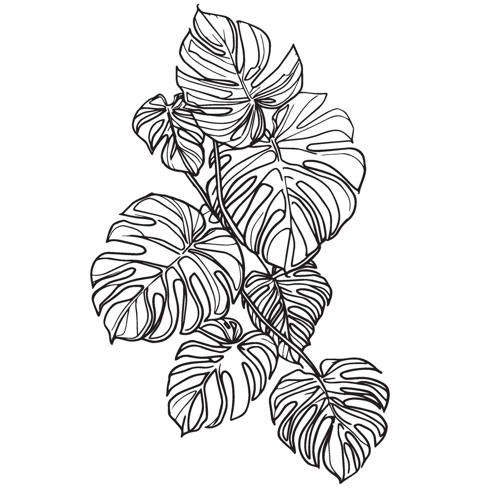 Tall Mouthpiece Monstera Decal